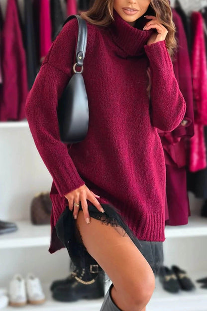 Velour Ease Oversized Turtleneck